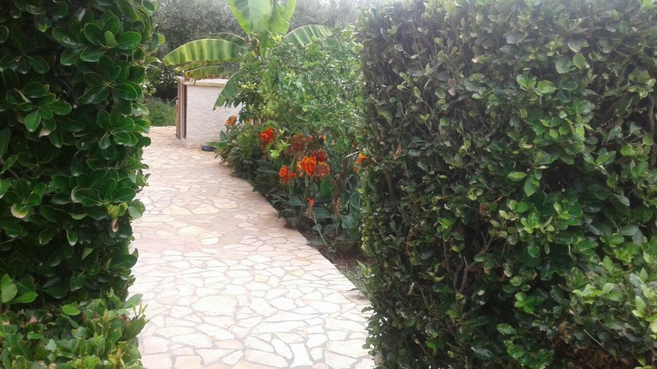 mario Vir Exterior foto